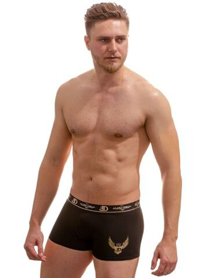 Мужские трусы-боксеры с эмблемой (Размер: L) (Цвет: черный)
