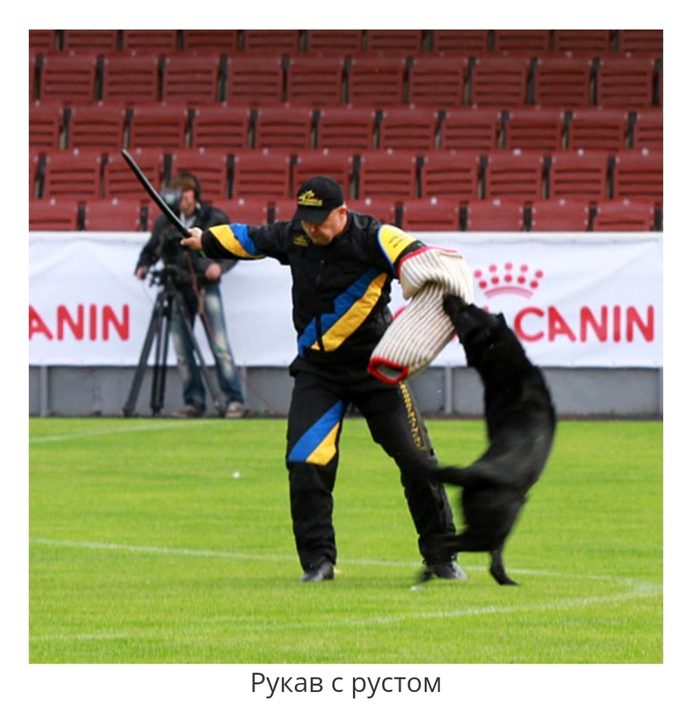 РУКАВ "ПРОФИ" РУСТ ИЗ ЗАМША ПРОФЕССИОНАЛЬНЫЙ  «Pro Sport»