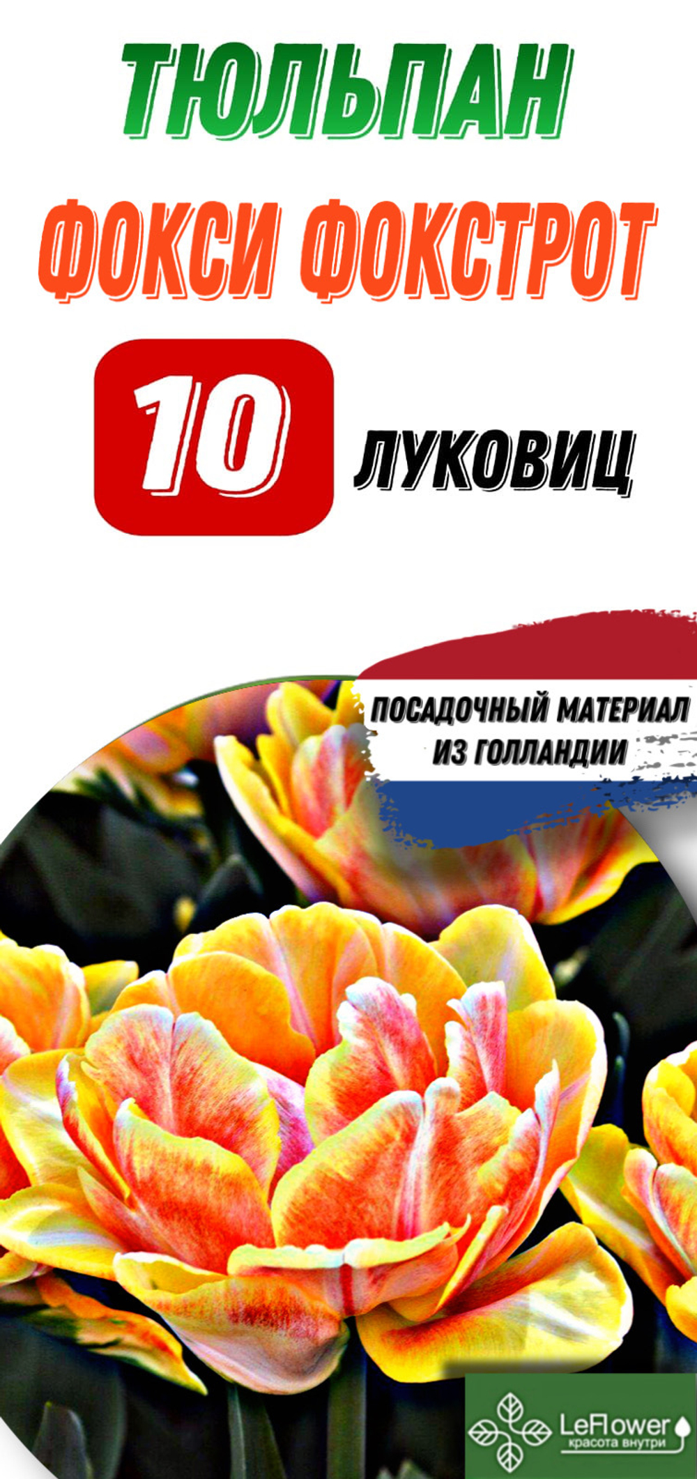 Тюльпан Луковица, Фокси Фокстрот, 10шт