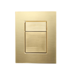 Кнопка смыва для инсталляции пневматическая WONZON & WOGHAND, Брашированное золото (WW-IB256-BG)