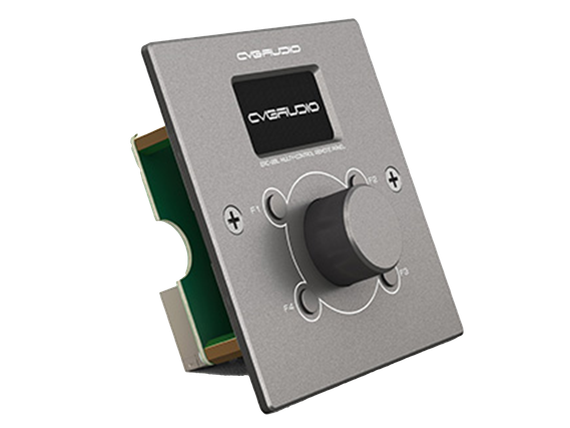 CVGAUDIO ERC-2BL - настенный программируемый контроллер управления широкого профиля