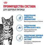 Royal Canin Indoor Sterilized Индор стерилайзд Корм влажный для стерилизованных кошек живущих в помещении желе 85г