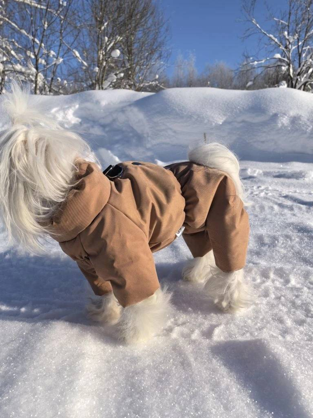 Зимний комбинезон для собак (девочка)