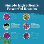 Nature's Craft, Neuro Health, 90 капсул