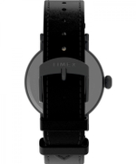Наручные часы Timex TW2V67700