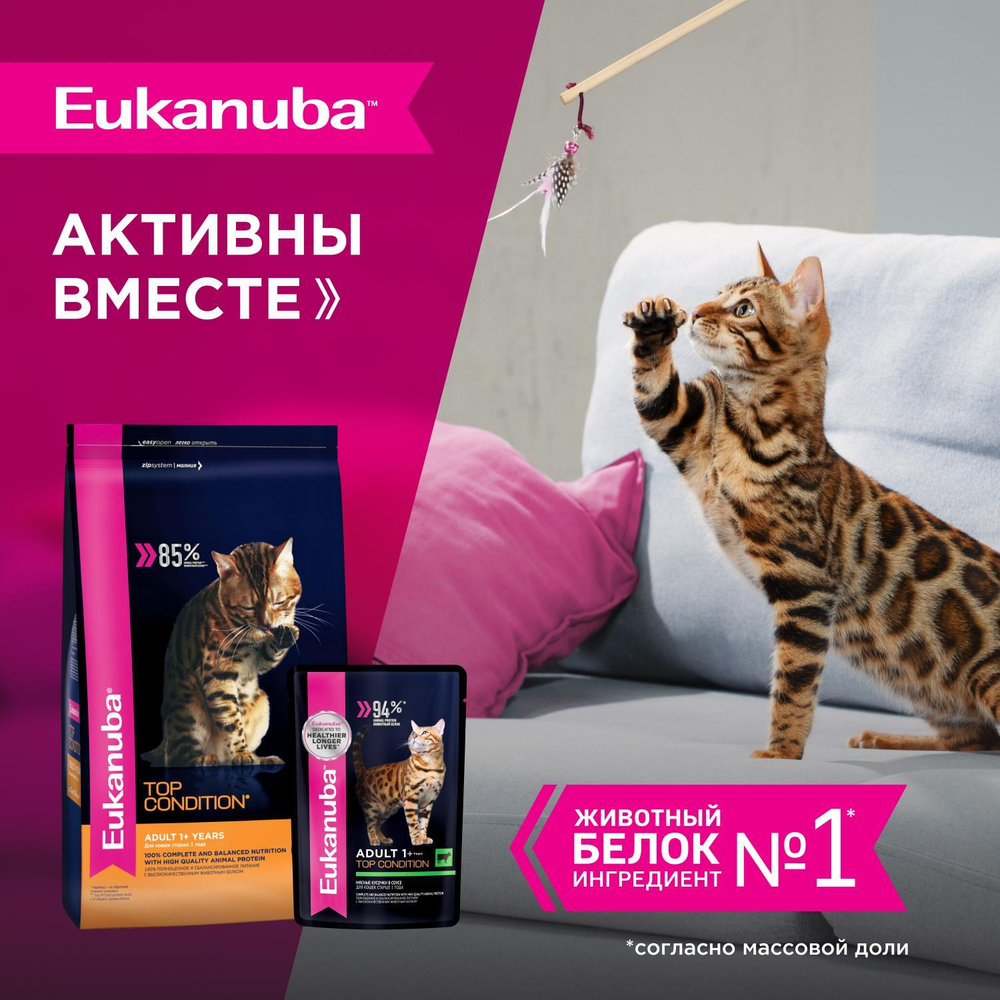 Eukanuba Adult Top Condition влажный рацион с говядиной в соусе для взрослых кошек 85г