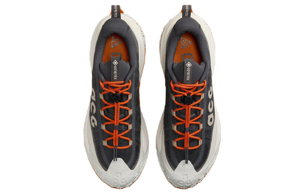 Кроссовки Nike Acg Mountain Fly 2 Low Gore-Tex