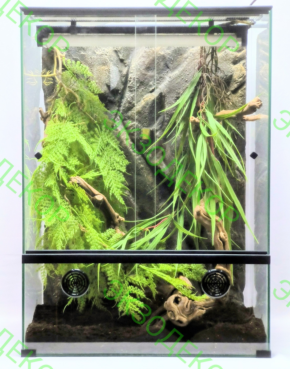 Полный комплект для Бананоеда. Террариум 40х30х70 и всё необходимое для содержания.