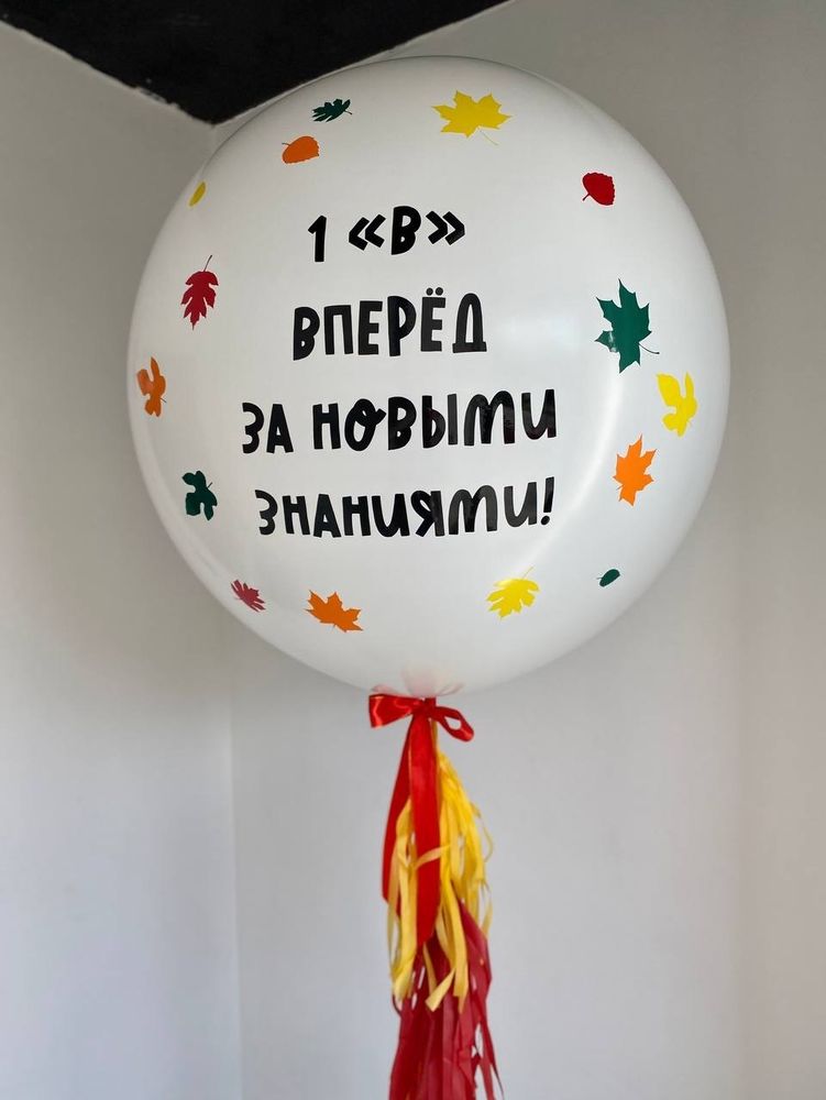 Большой шар на 1 сентября  №1253