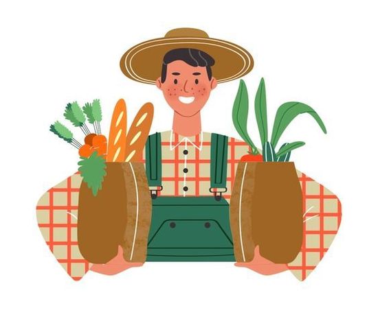 Какую зелень можно выращивать дома зимой на подоконнике