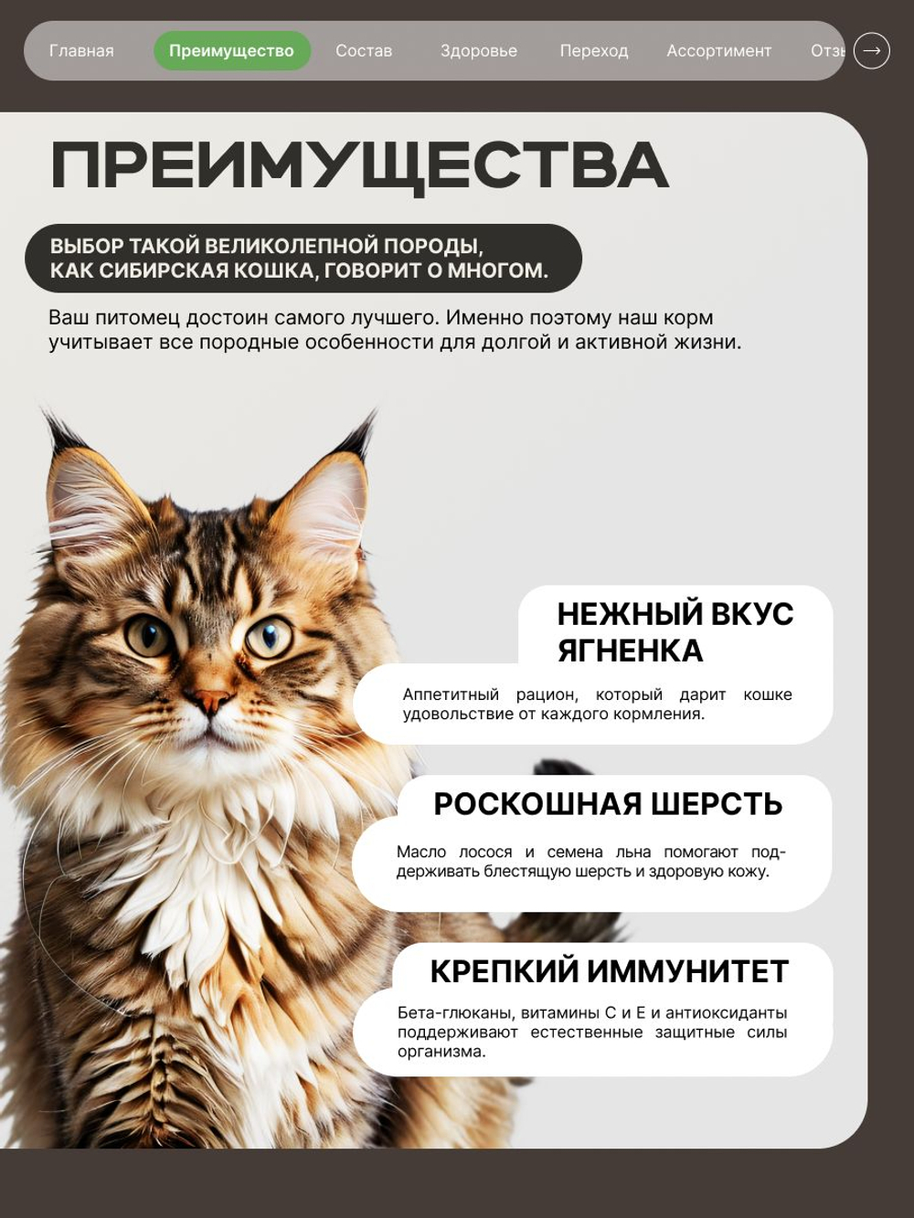 Корм сухой для кошек породы Сибирская кошка, с ягненком, 2 кг, QUATTRO