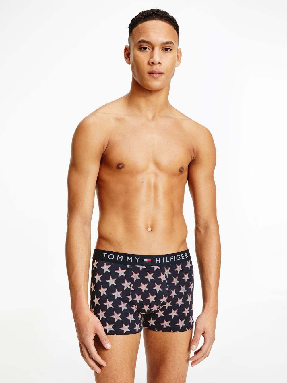Мужские спортивные боксеры Tommy Hilfiger Trunk Print 1P - разноцветный
