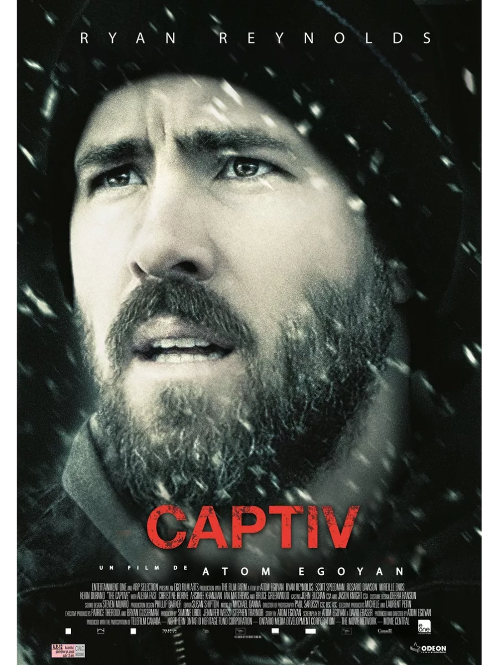 Пленница (2013) (DVD-R)