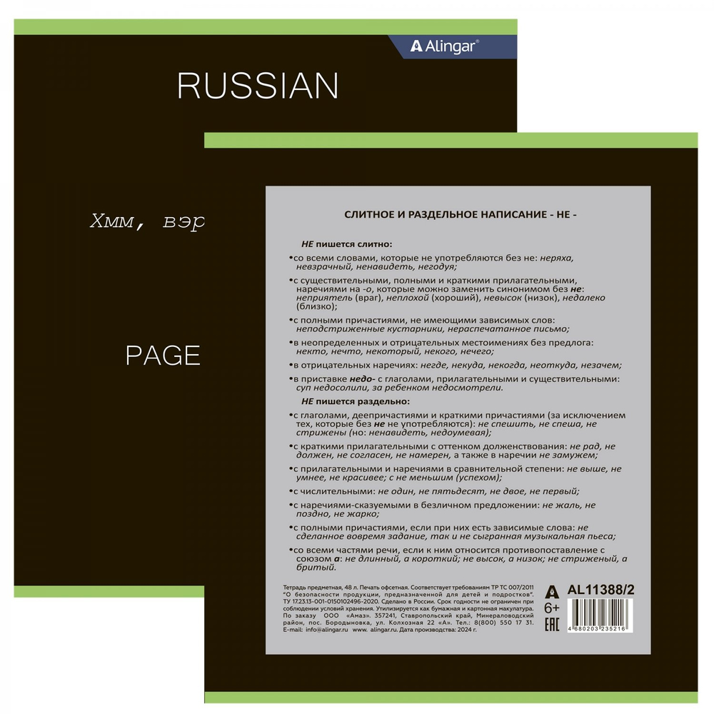 Тетрадь предметная "Русский язык" А5 48л., линия, со справочным материалом, скрепка, мелованный картон (стандарт), блок офсет, Alingar "Loading"