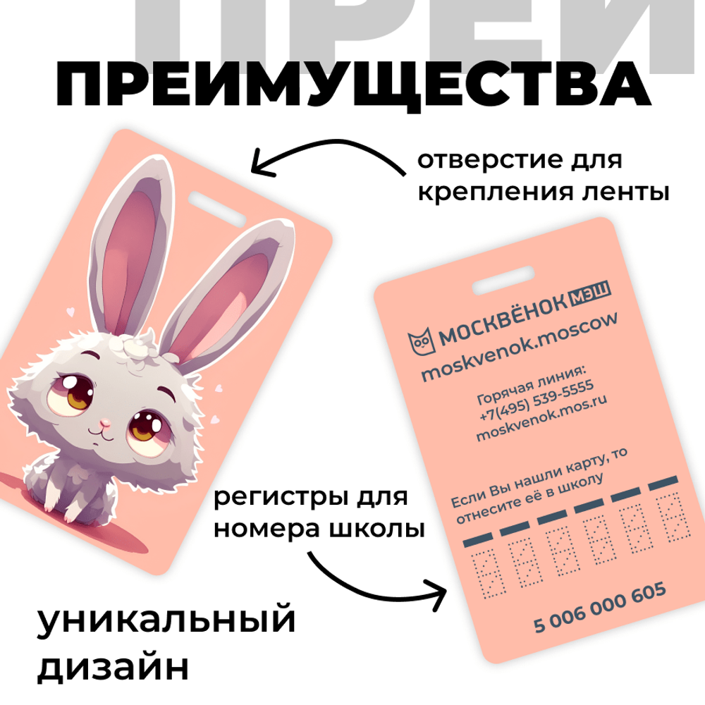 Карта Москвёнок ART №5 (проход + питание)