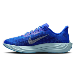 Кроссовки для бега мужские Nike Pegasus Plus M Сине-Пудровые