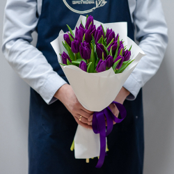 Фиолетовые тюльпаны