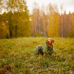 Попона Pets Sky rain coat Rukka