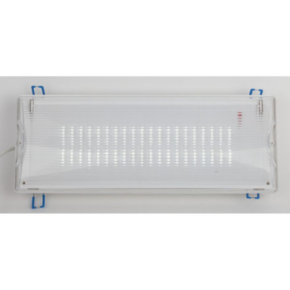 Аварийный светильник светодиодный ЭРА DPA-301-1-65 постоянный/непостоянный 40LED 3ч IP65 | Светильники аварийные