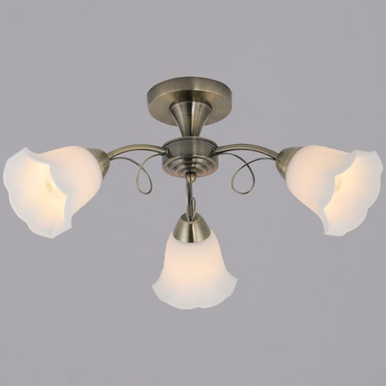 53270-0.3-03 светильник потолочный