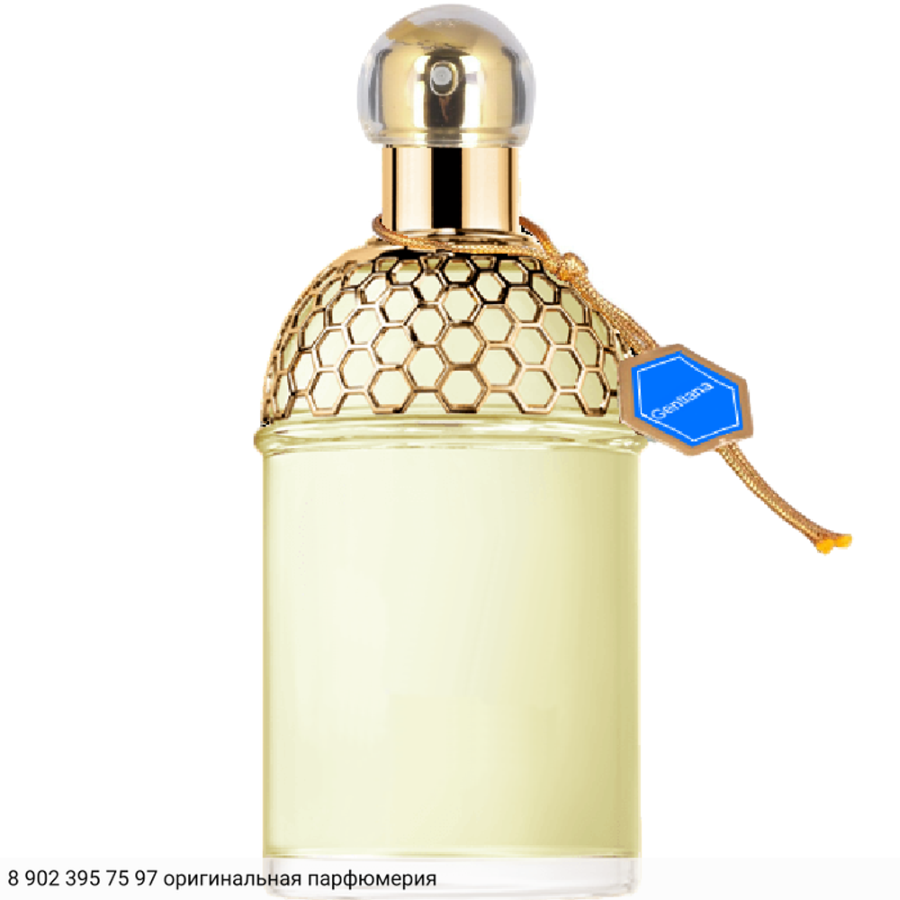 Aqua Allegoria Gentiana