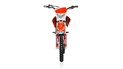 Питбайк Apollo RXF Freeride 125LE 17x14 Красный