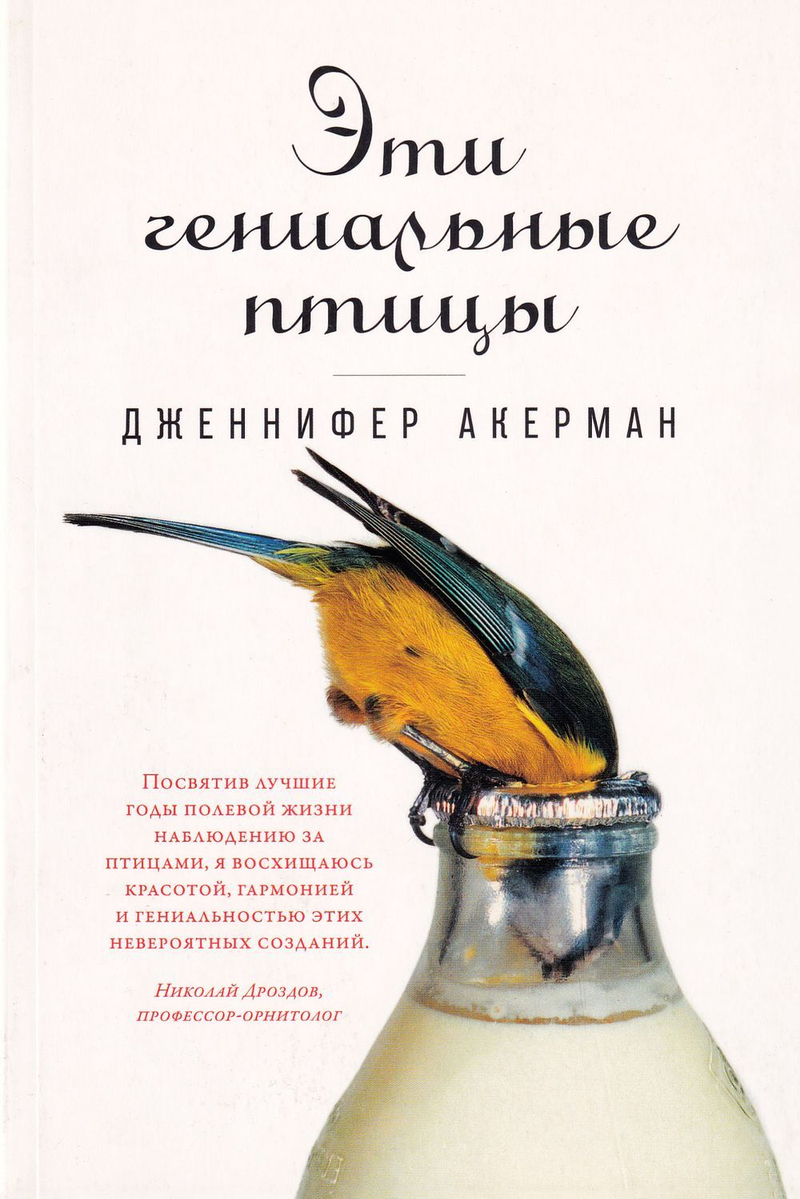 Эти гениальные птицы