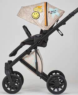 Детская коляска Anex e/type 2 в 1 joy