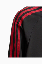 Кофта adidas World Cup 2022 Emblem Junior