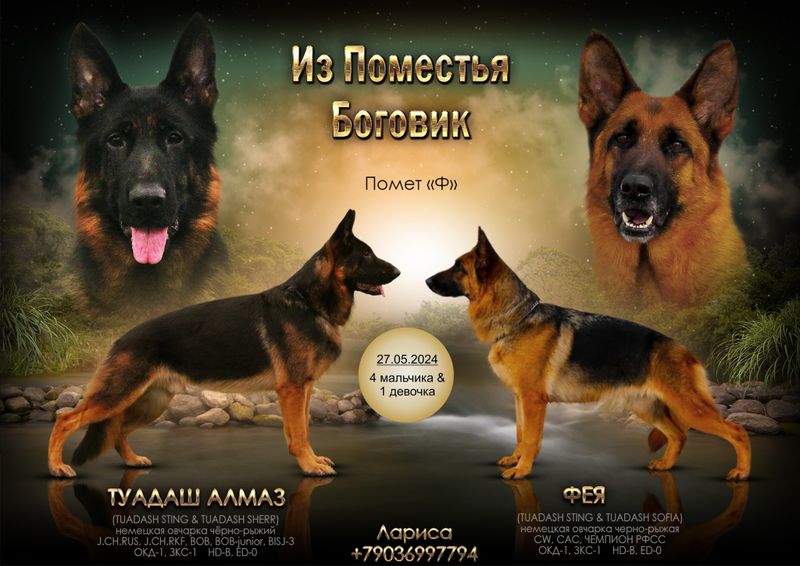Помет "Ф"