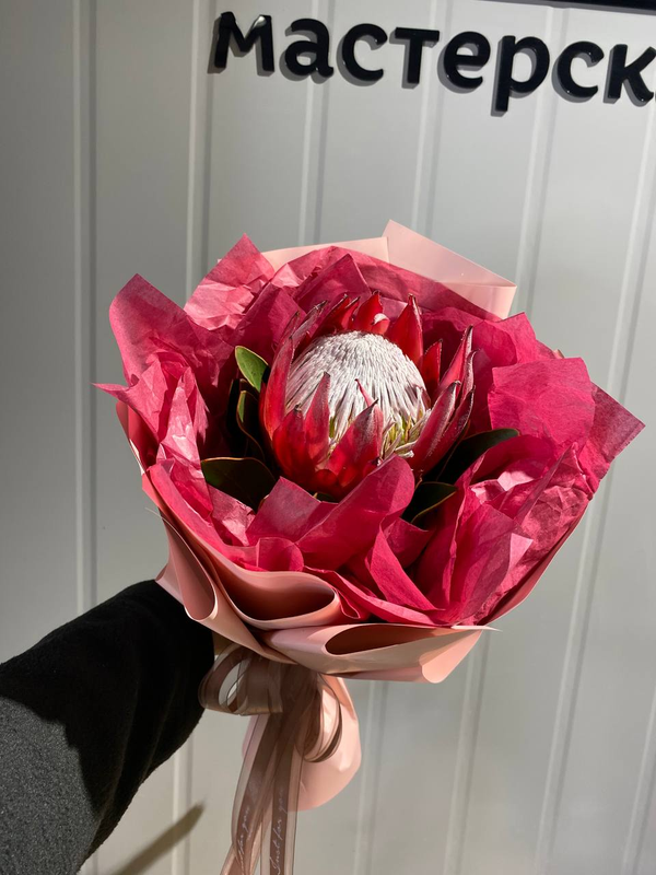 Букет из Протеи "Мадиба"