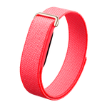 Фитнес-браслет Google Fitbit Air