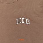 Толстовка мужская Dickies Aitkin Chest Sweatshirt  артикул:DK0A4YBGJ961 - купить в магазине Дайс