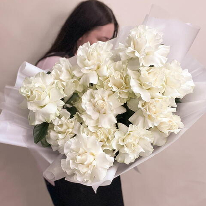 Белые французские розы 15 шт