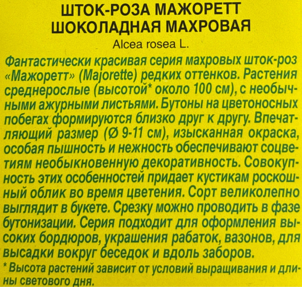Шток-роза Мажоретт шоколадная махровая СМЦ-919
