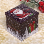 Банка жестяная 9*9*9см «Славный Дед Мороз»