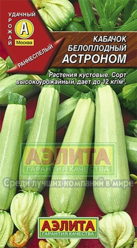 Кабачок Астроном белоплодный 10шт/1гр Аэлита