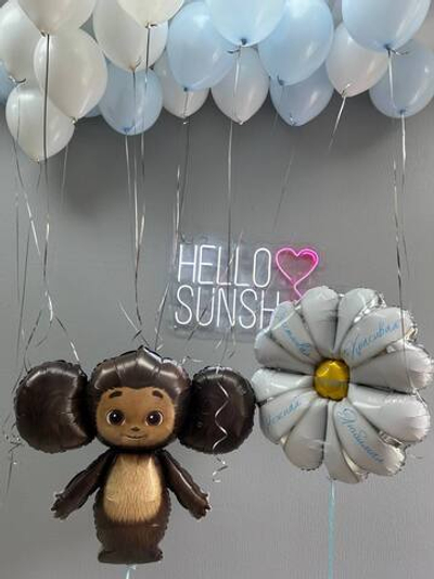 Набор шаров Чебурашка