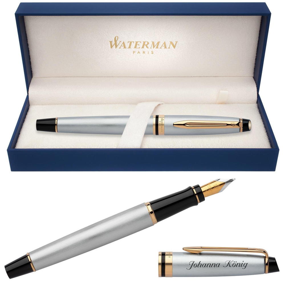 Перьевая ручка Waterman Expert 3, цвет: Stainless Steel GT, перо: F