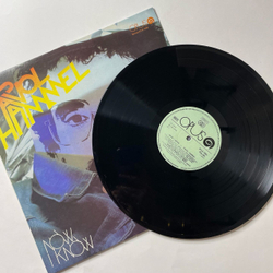 Винтажная виниловая пластинка LP Pavol Hammel Now I Know (Чехословакия 1983)