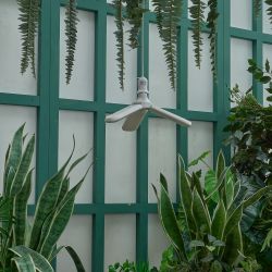 LED-P65-24W-SPSB-E27-FR-P3 PLP32WH Лампа светодиодная для растений. Форма P лепестковая. матовая. Спектр для рассады и цветения. Картон. ТМ Uniel