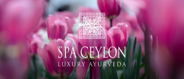 Уход за кожей весной вместе со Spa Ceylon