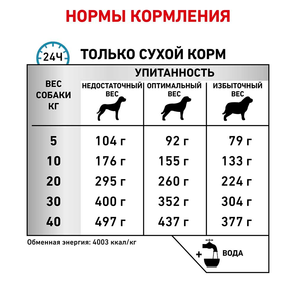 Royal Canin VET Anallergenic - диета для собак с сильной пищевой аллергией