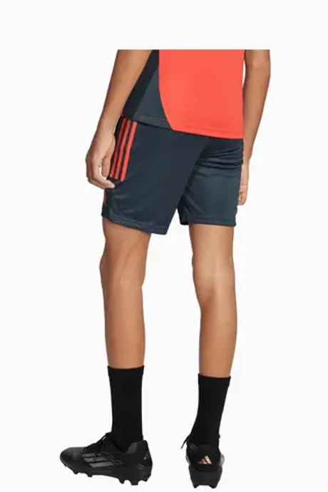 Шорты adidas FC Bayern 25/26 Competition Training Junior - серый