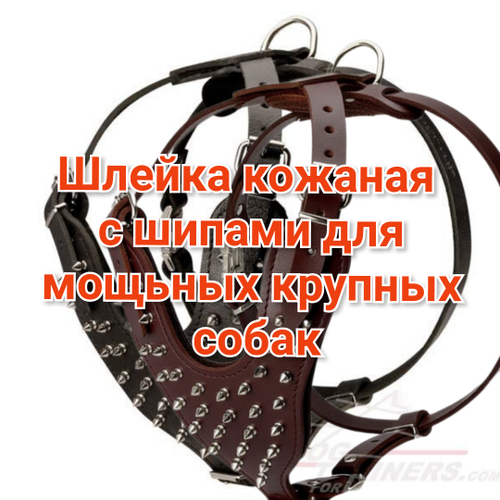 Шлейка кожаная  с шипами для мощных крупных собак