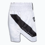 Шорты Hayabusa Core Fight white