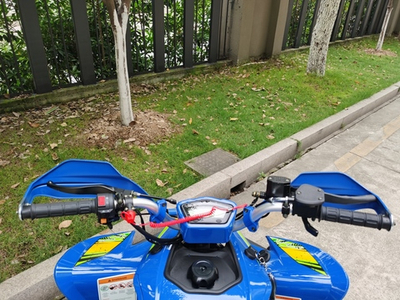 Квадроцикл YACOTA TYPHOON 250 бензин