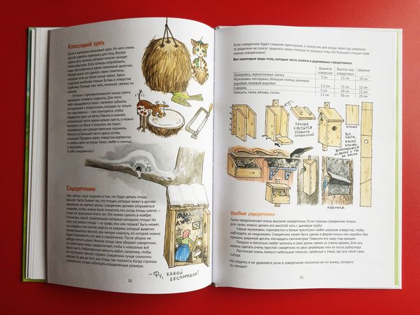 Поделки Финдуса