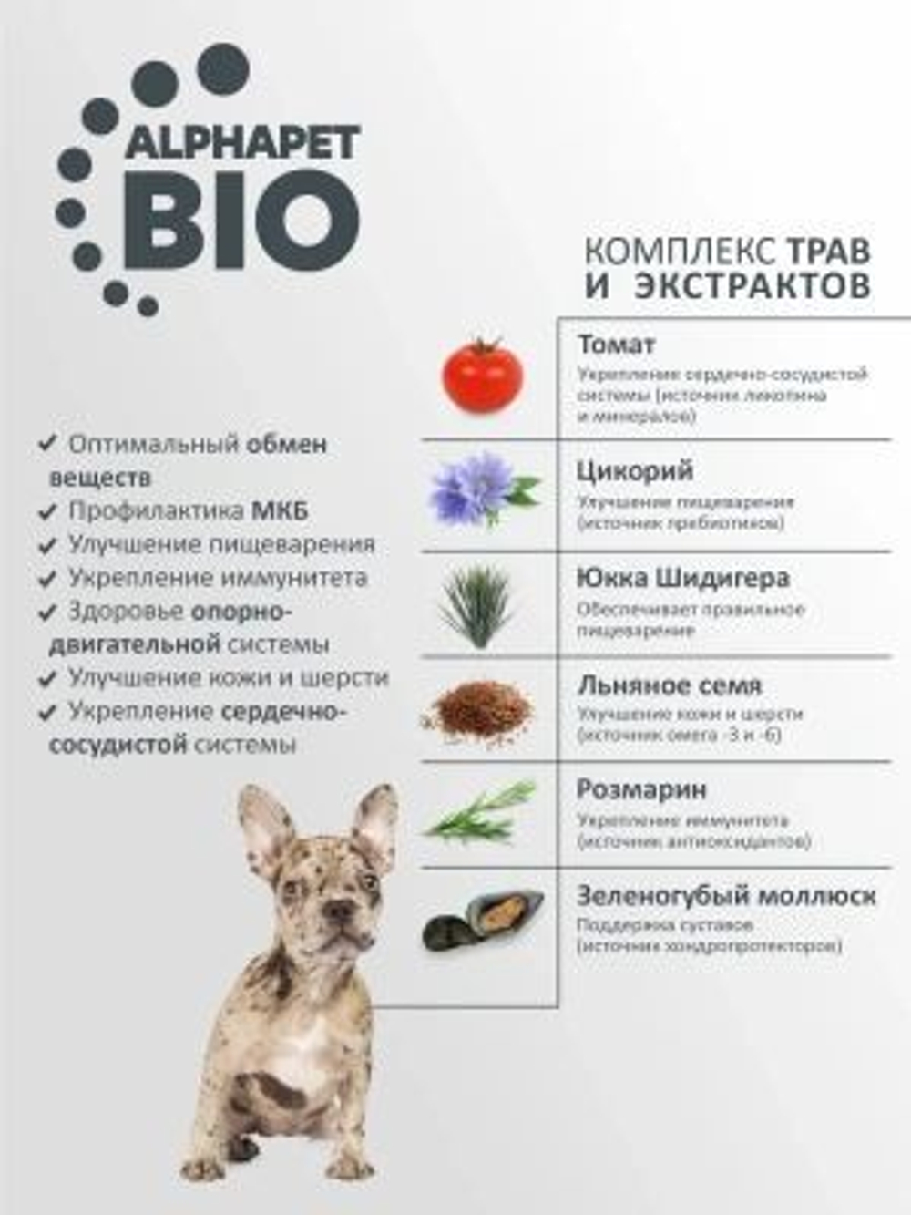 Корм для щенков и собак юниоров сухой AlphaPet Superpremium для животных средних пород, с говядиной и рисом, 7 кг