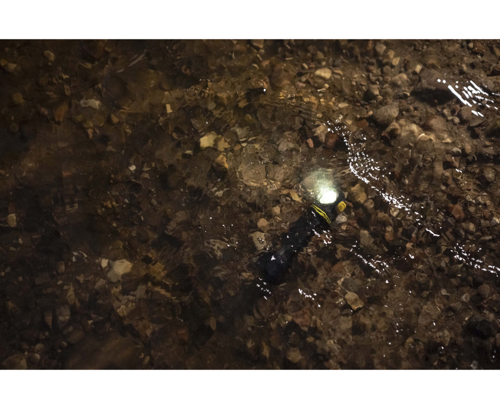 Фонарь Armytek Elf C2 Max [F10701C] 4500 люмен (холодный свет)